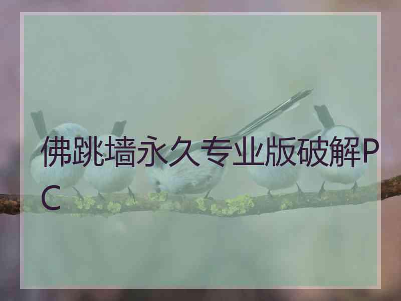 佛跳墙永久专业版破解PC