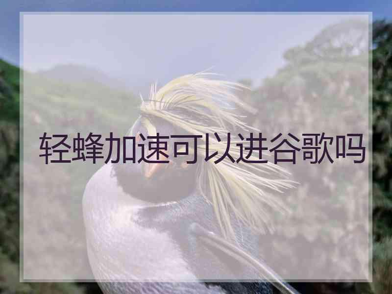 轻蜂加速可以进谷歌吗