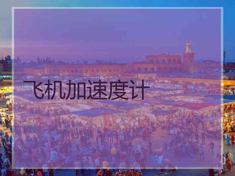 飞机加速度计