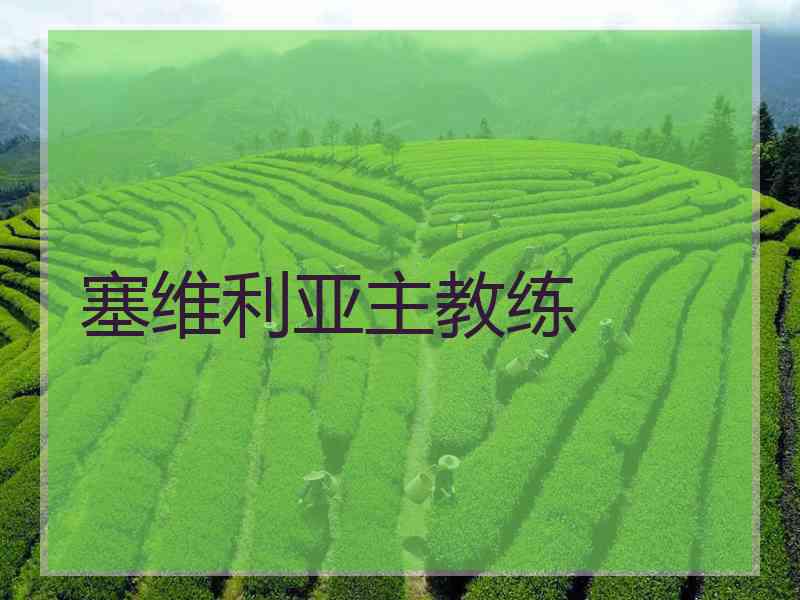 塞维利亚主教练