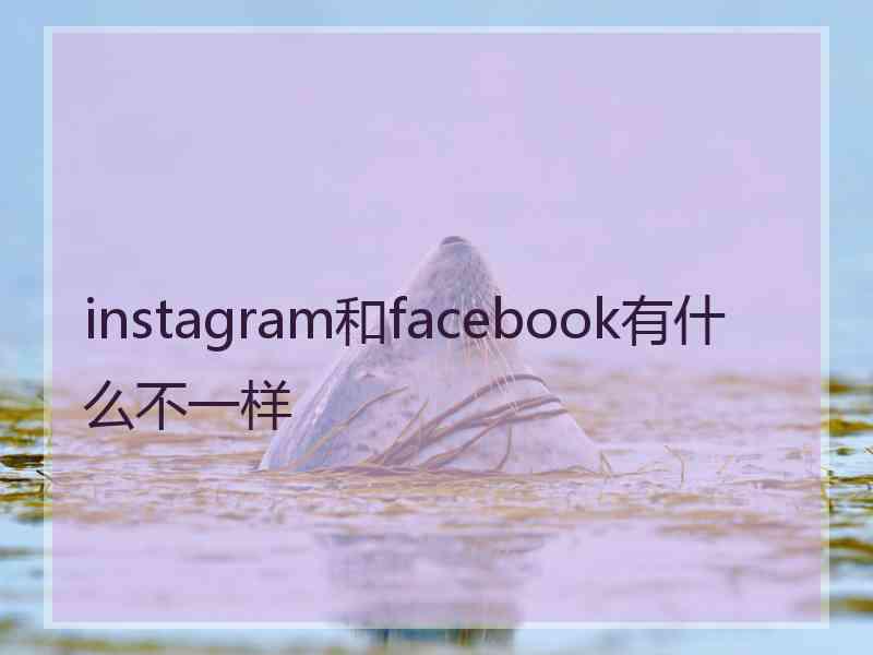 instagram和facebook有什么不一样