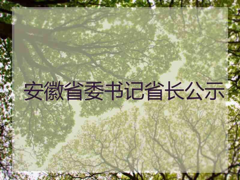 安徽省委书记省长公示