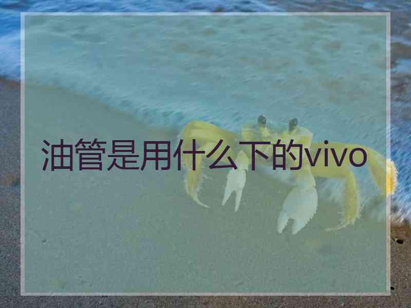 油管是用什么下的vivo