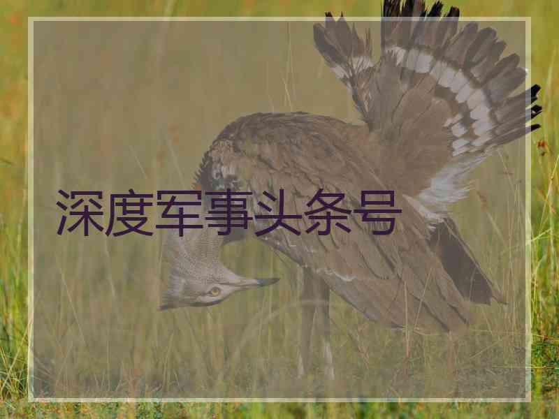 深度军事头条号