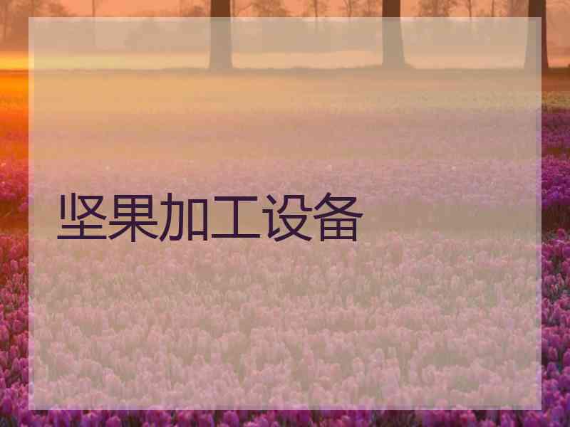 坚果加工设备
