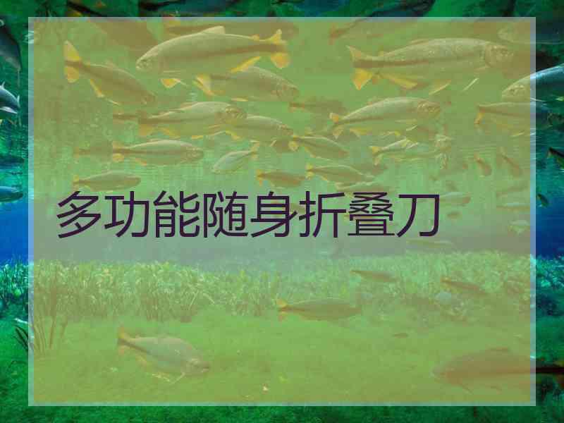 多功能随身折叠刀