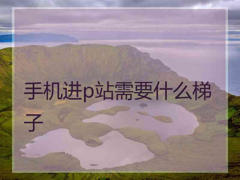 手机进p站需要什么梯子