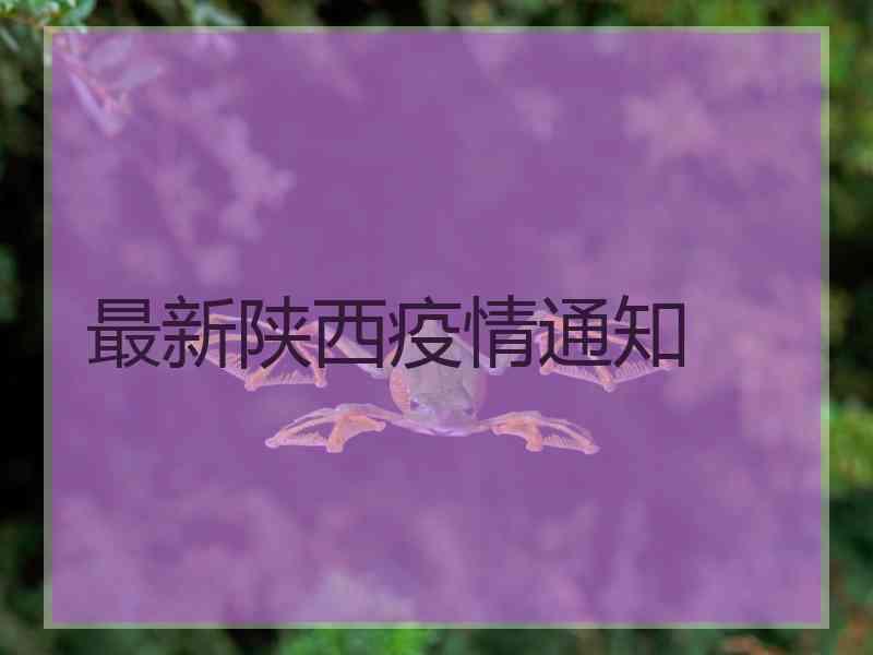 最新陕西疫情通知