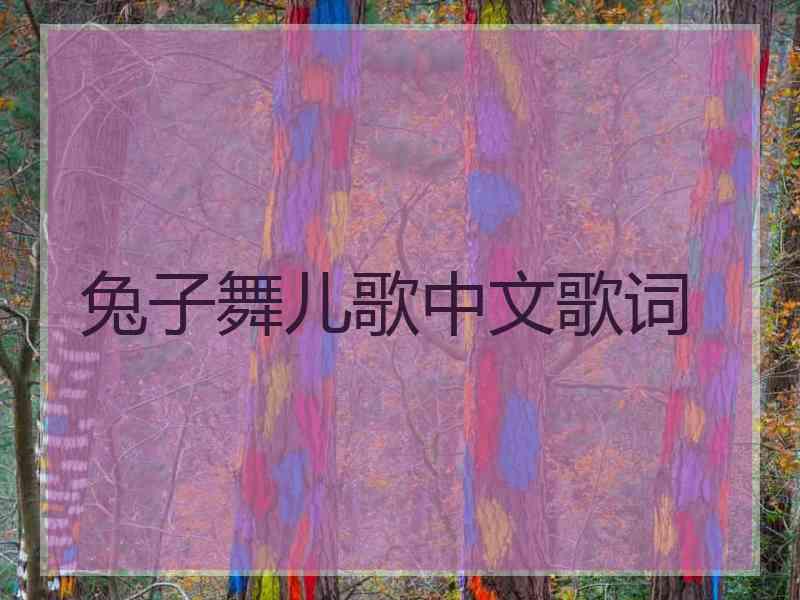 兔子舞儿歌中文歌词