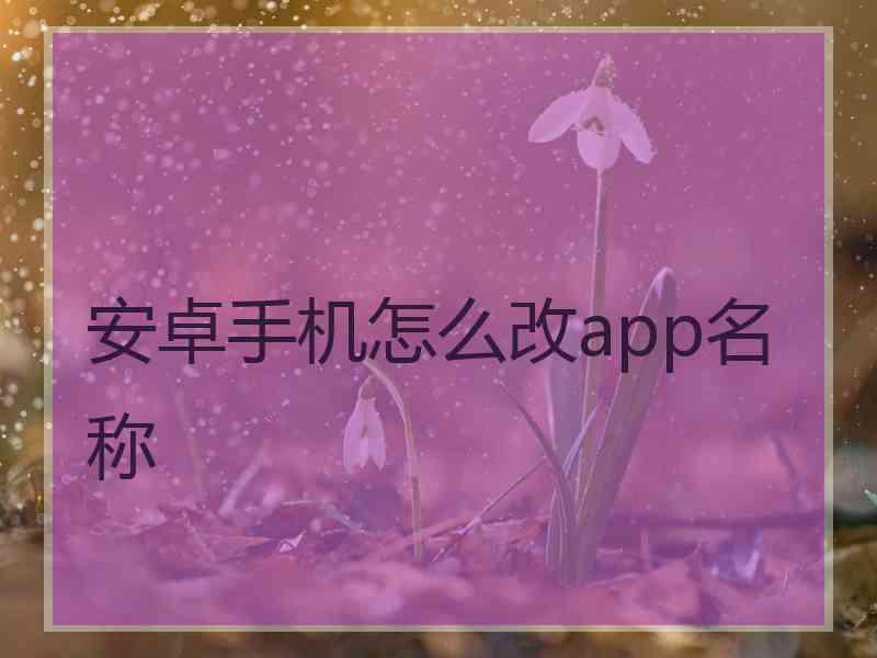 安卓手机怎么改app名称