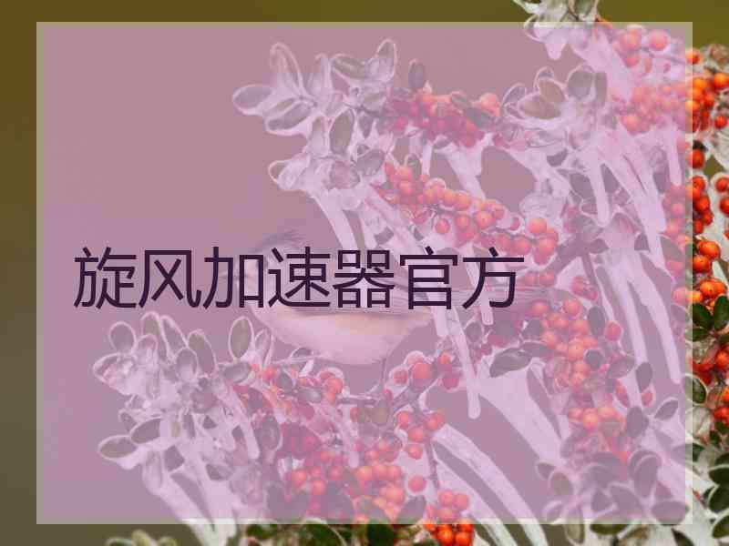 旋风加速器官方
