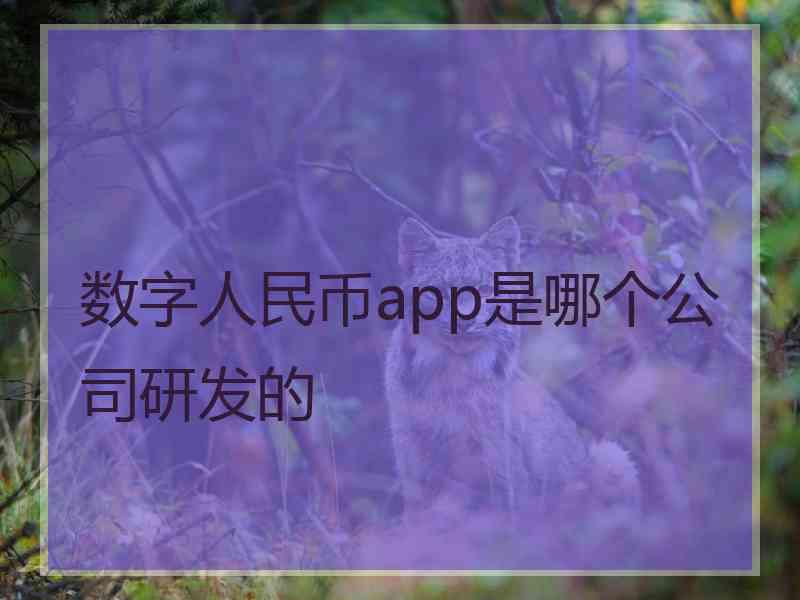 数字人民币app是哪个公司研发的