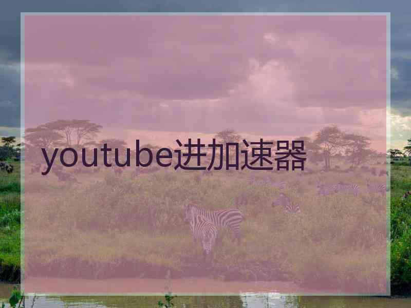 youtube进加速器