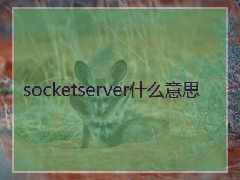 socketserver什么意思