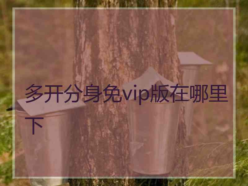 多开分身免vip版在哪里下