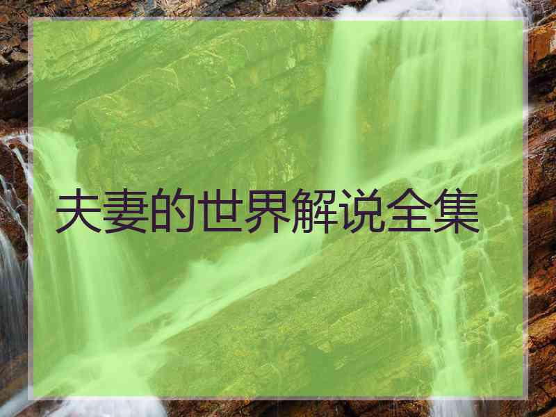 夫妻的世界解说全集