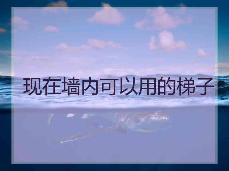 现在墙内可以用的梯子