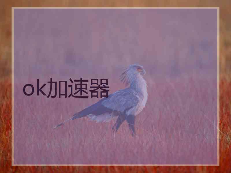 ok加速器