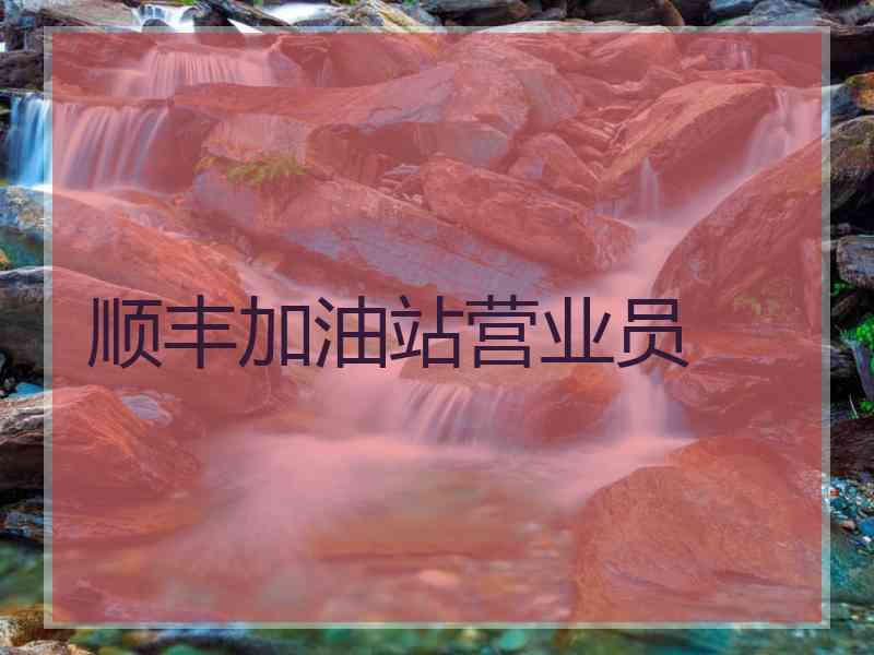 顺丰加油站营业员