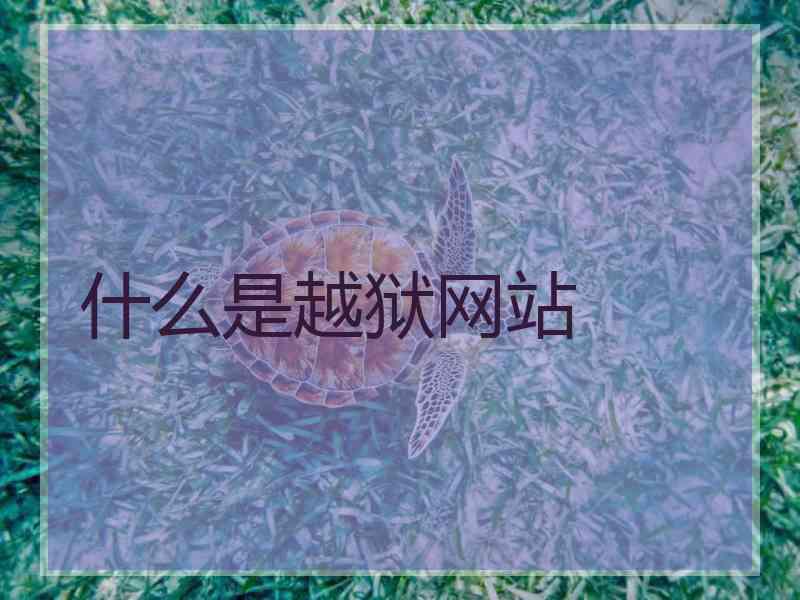 什么是越狱网站