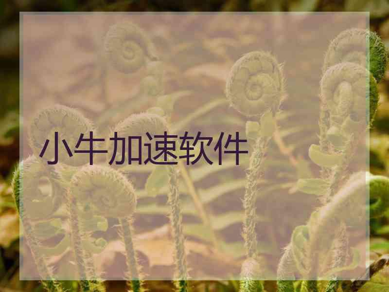小牛加速软件