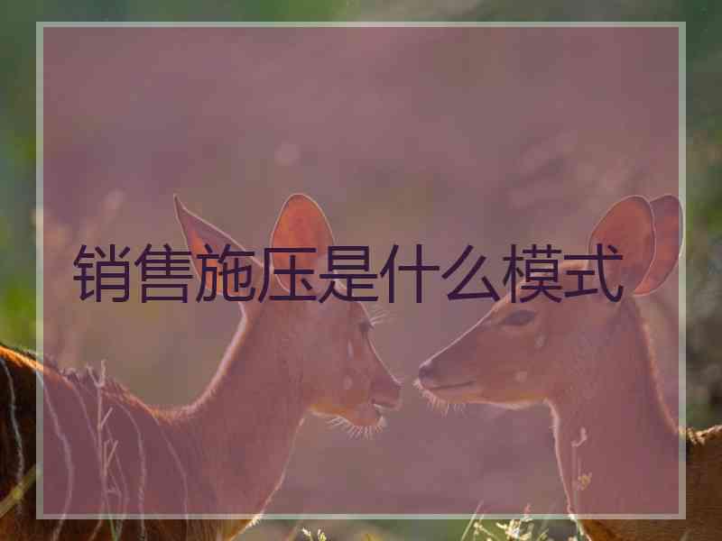 销售施压是什么模式