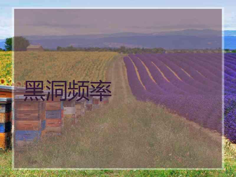黑洞频率