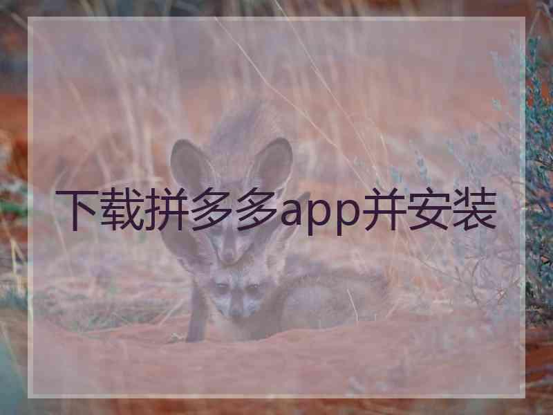 下载拼多多app并安装