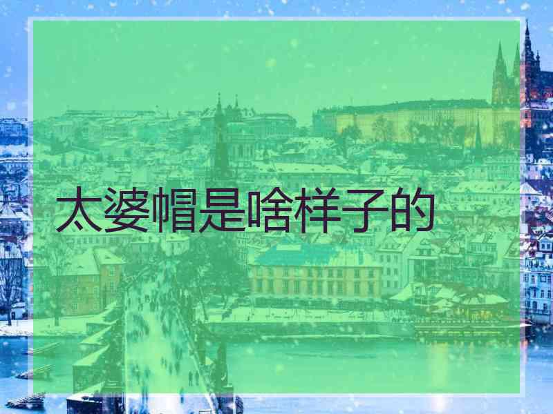 太婆帽是啥样子的