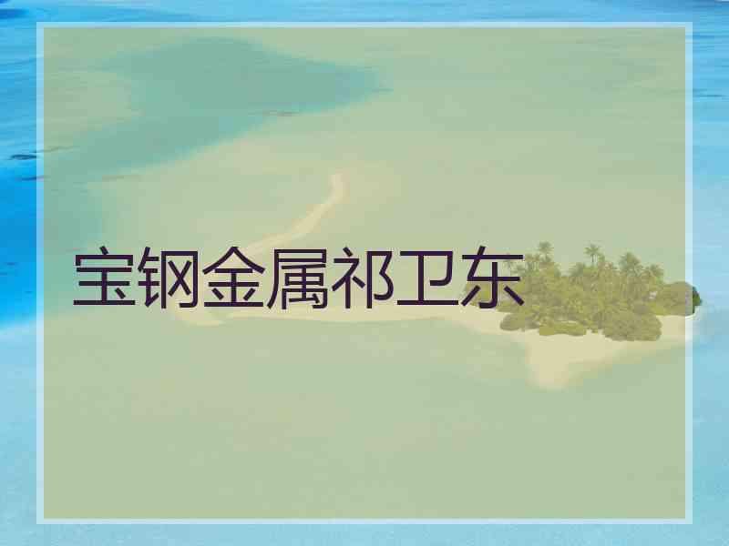 宝钢金属祁卫东