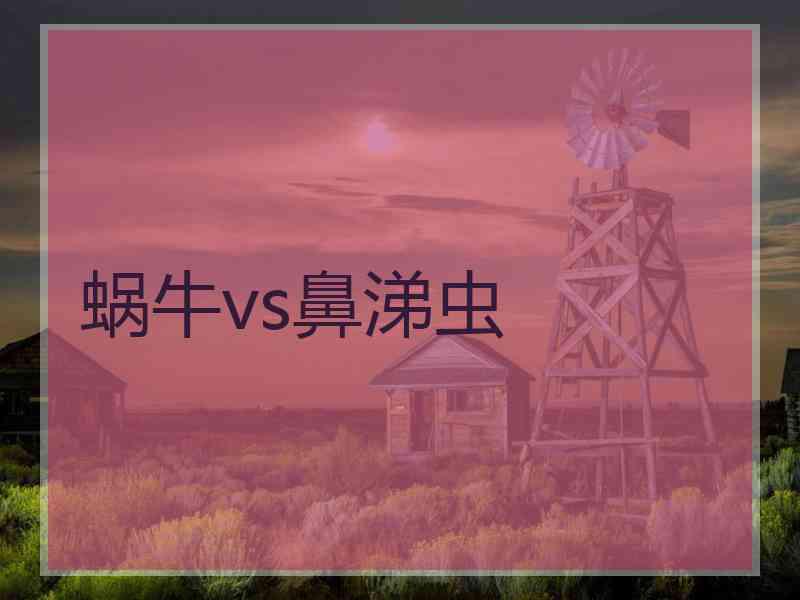 蜗牛vs鼻涕虫