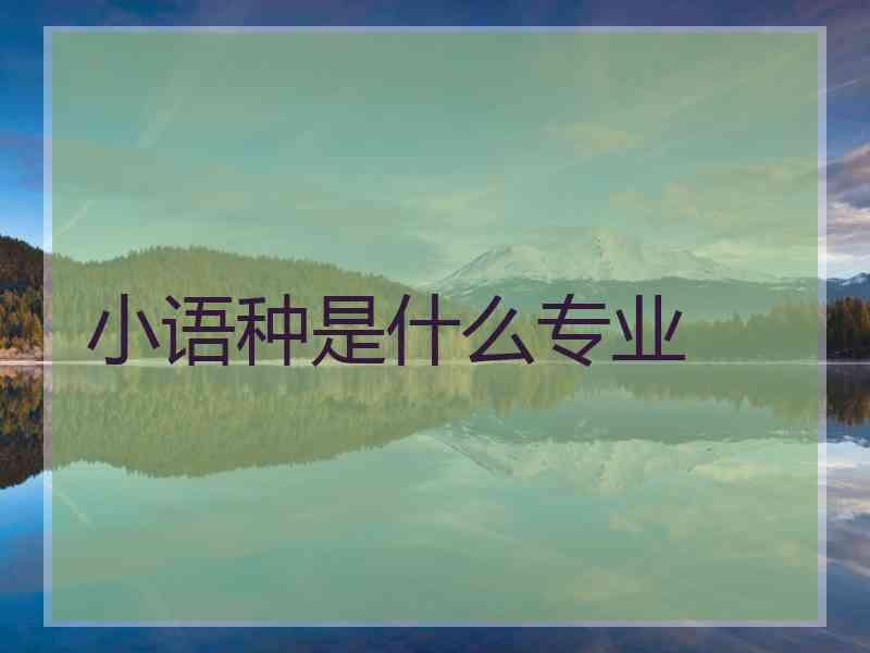 小语种是什么专业