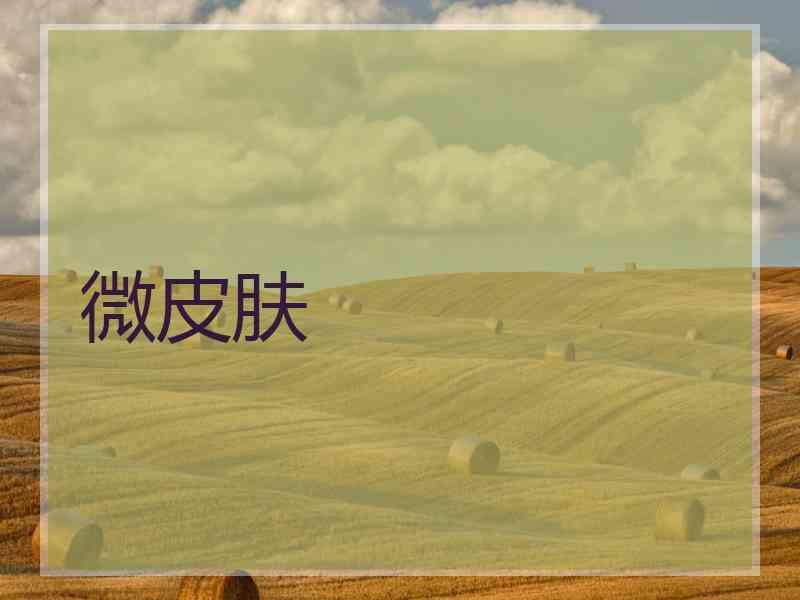微皮肤