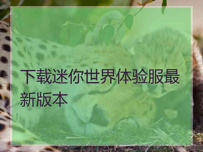 下载迷你世界体验服最新版本
