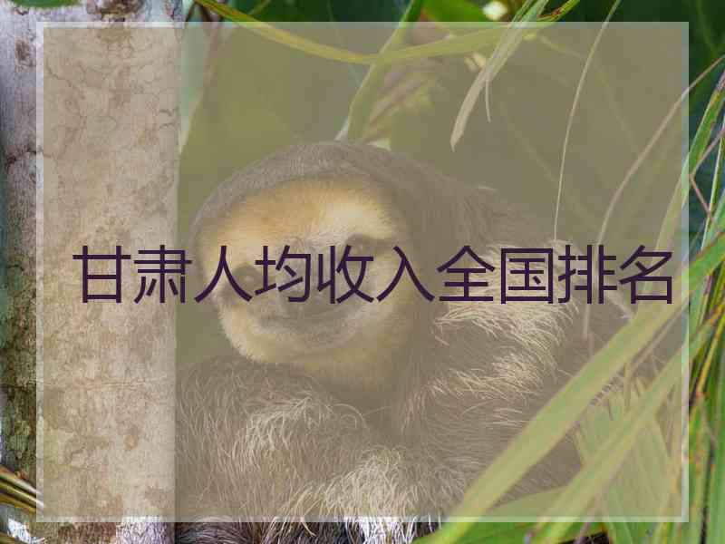 甘肃人均收入全国排名