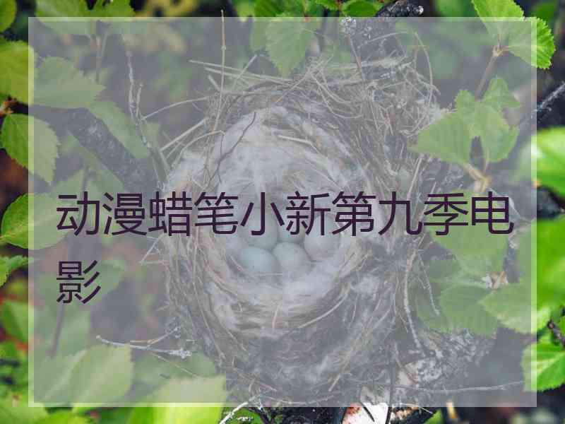 动漫蜡笔小新第九季电影