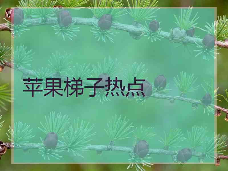 苹果梯子热点