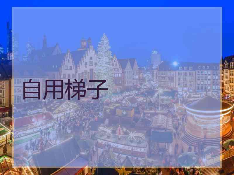 自用梯子
