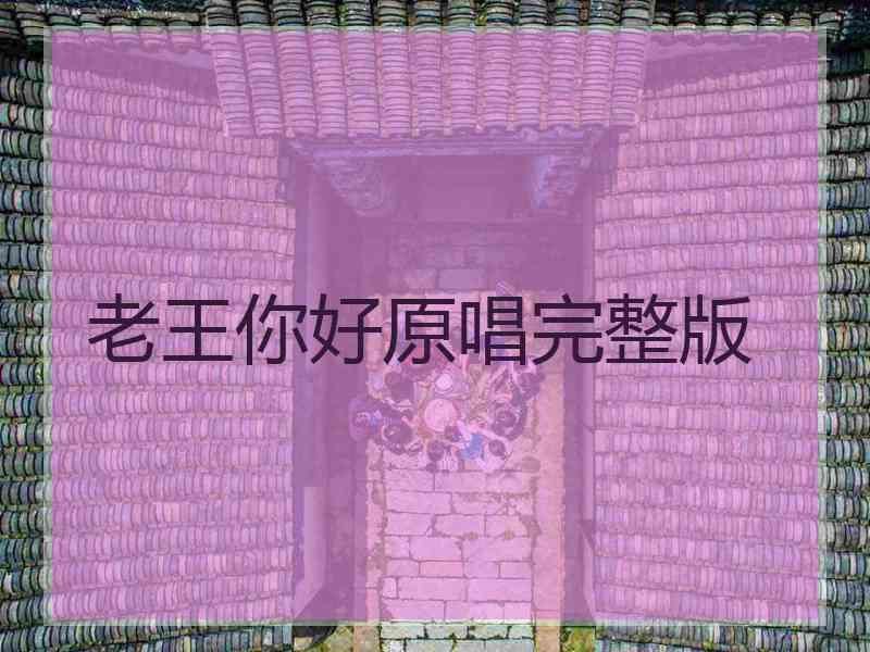 老王你好原唱完整版