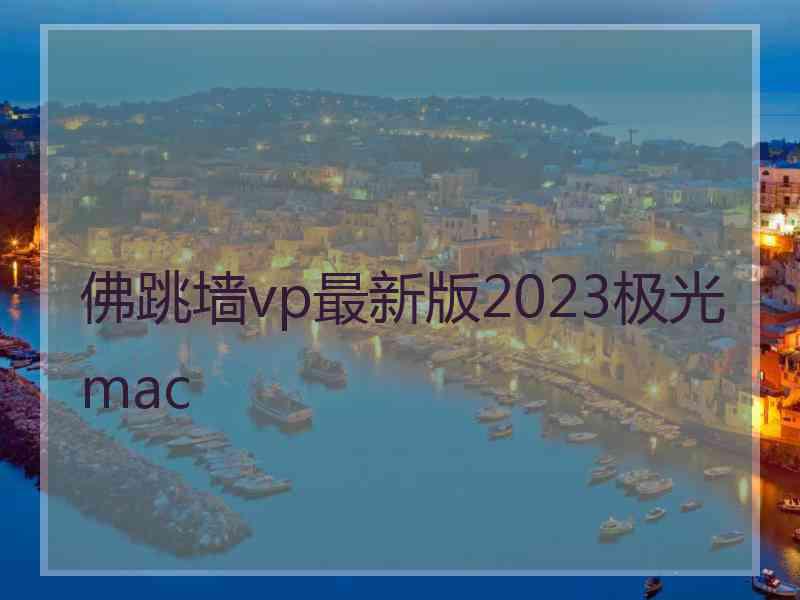佛跳墙vp最新版2023极光 mac