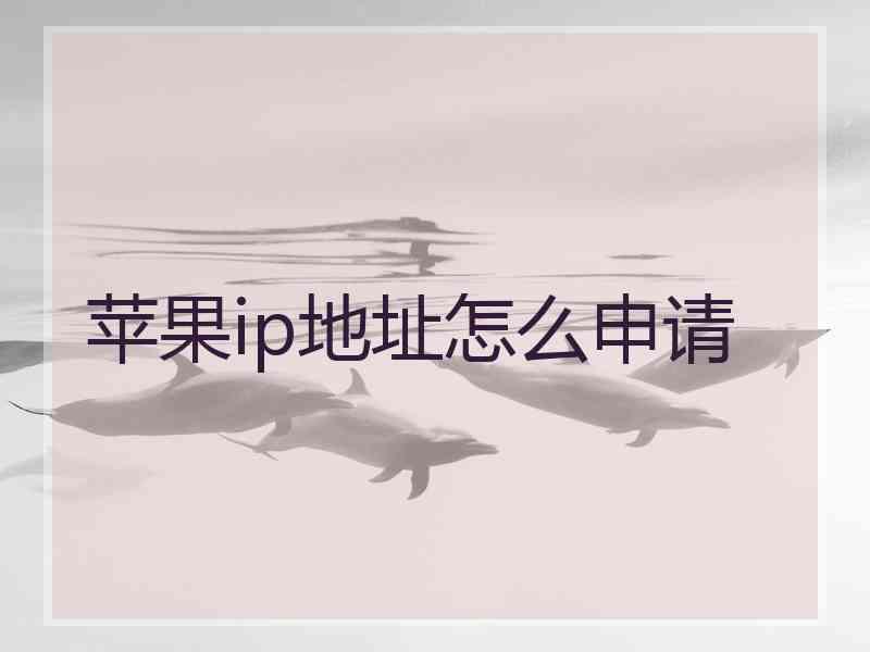 苹果ip地址怎么申请