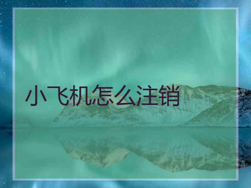 小飞机怎么注销