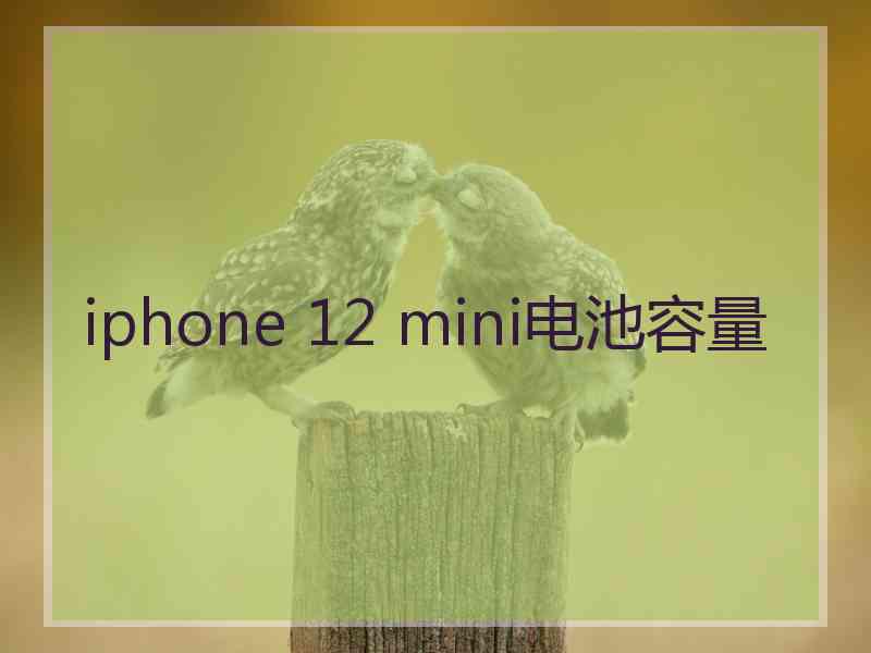 iphone 12 mini电池容量