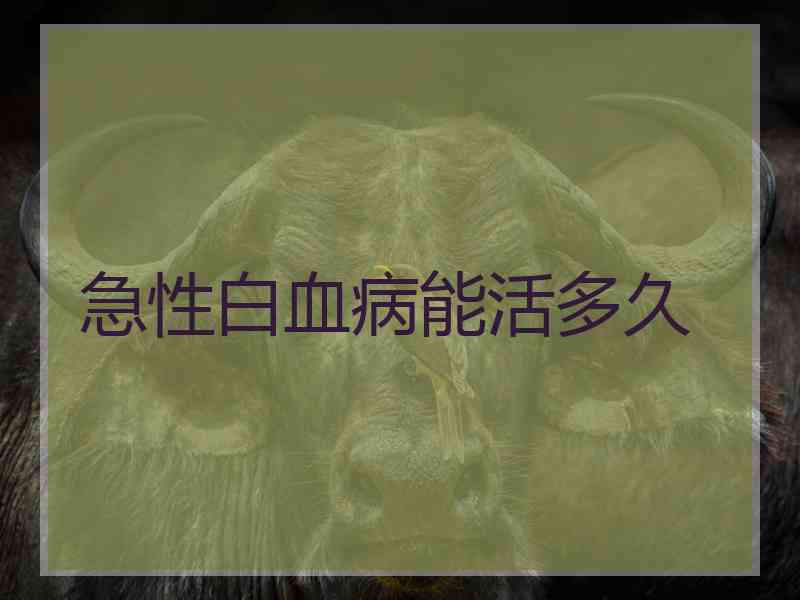 急性白血病能活多久