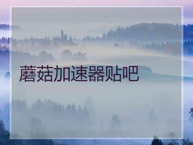 蘑菇加速器贴吧