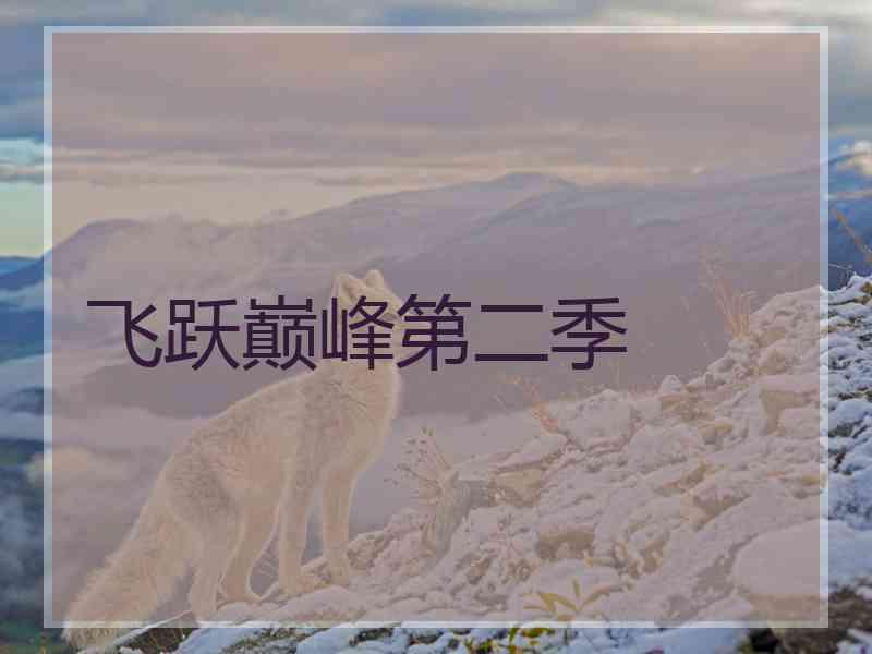 飞跃巅峰第二季