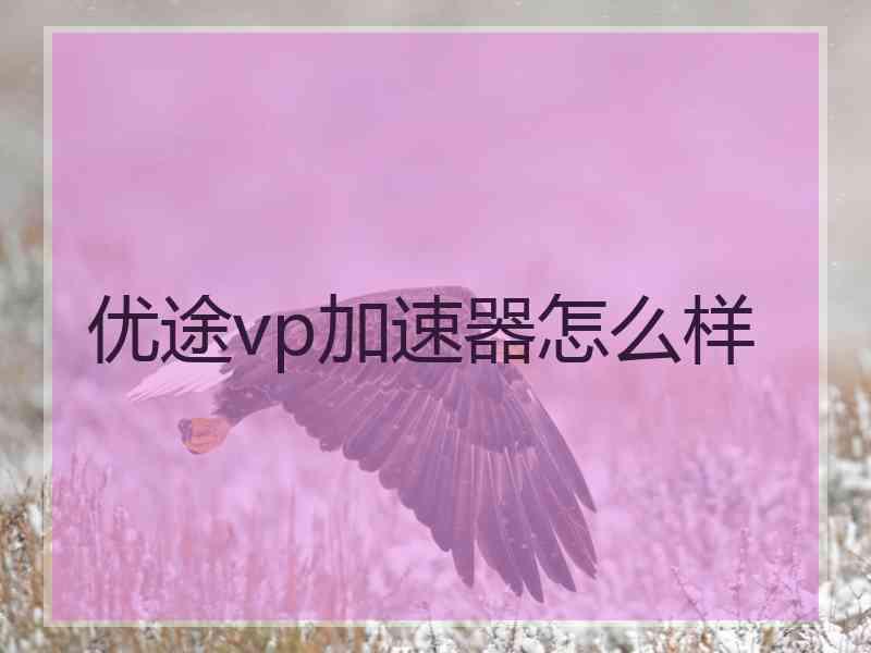 优途vp加速器怎么样