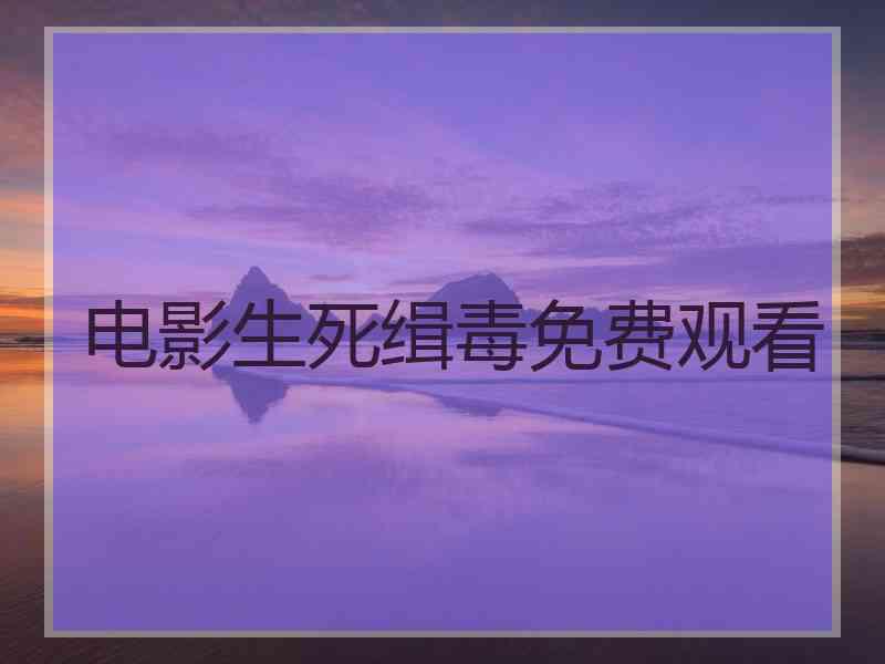 电影生死缉毒免费观看