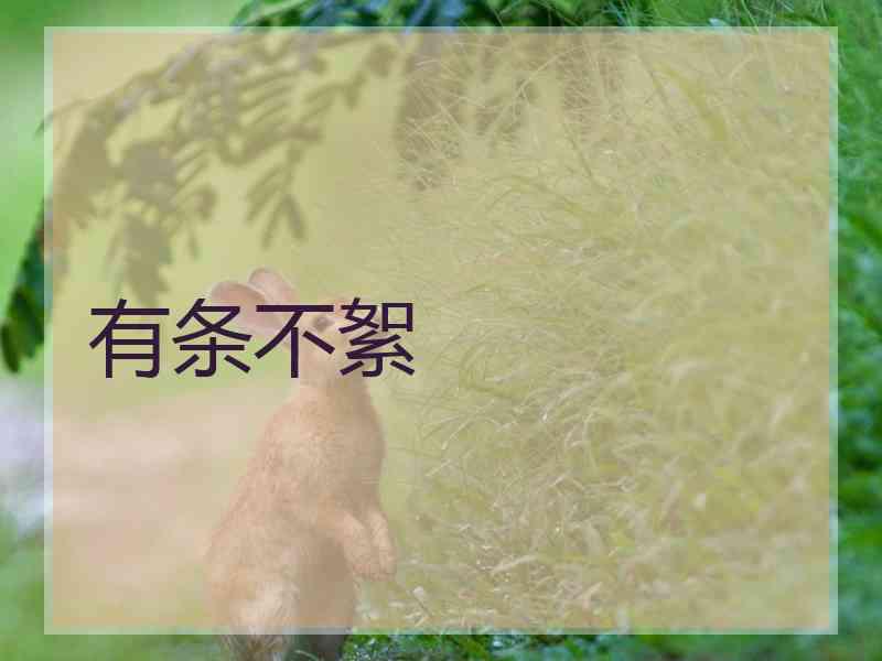 有条不絮