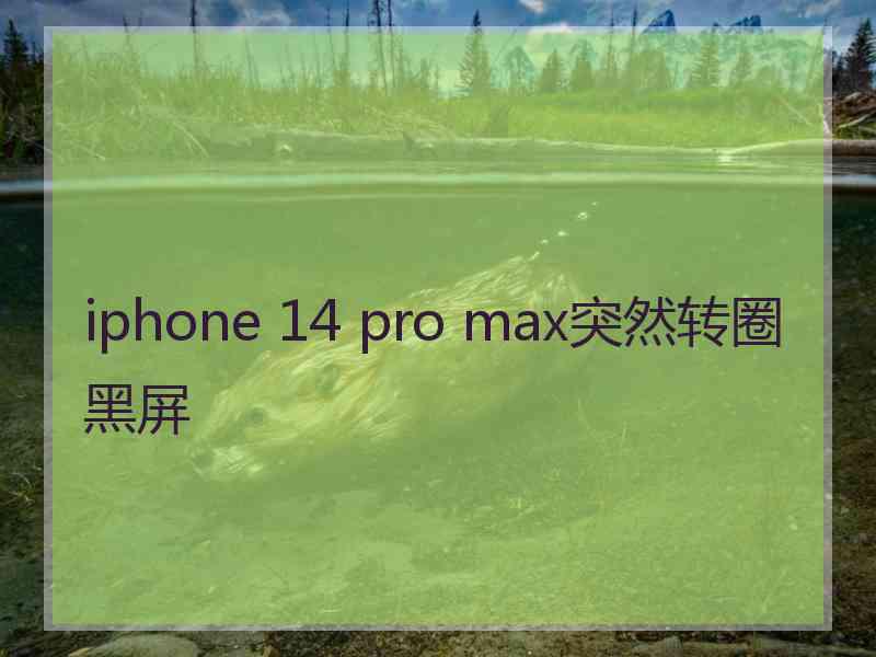 iphone 14 pro max突然转圈黑屏